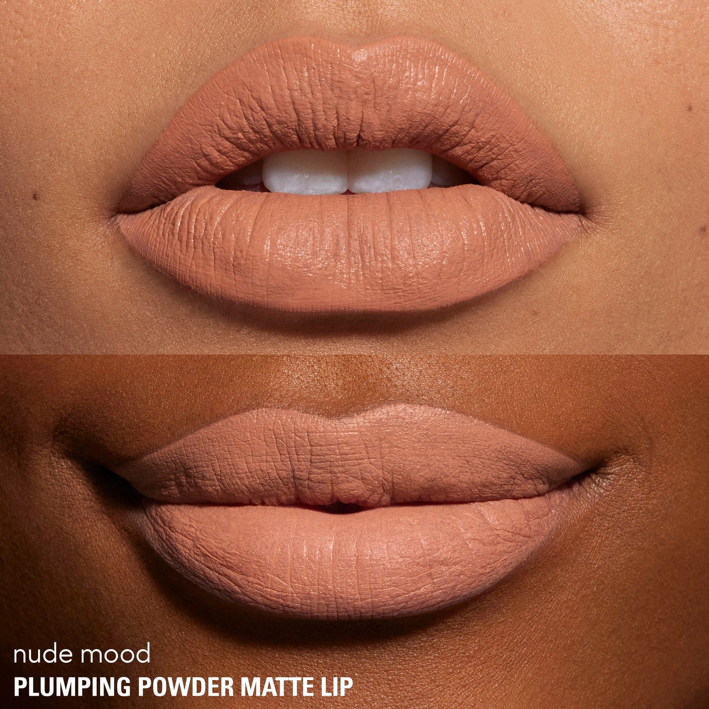 Plumping Powder Matte Lip