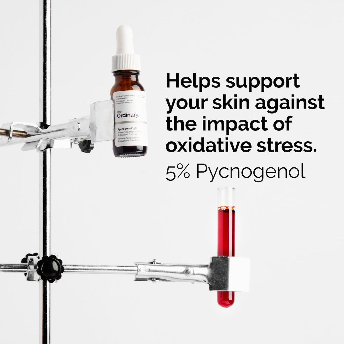 Pycnogenol 5 % – The Ordinary | 15 ml