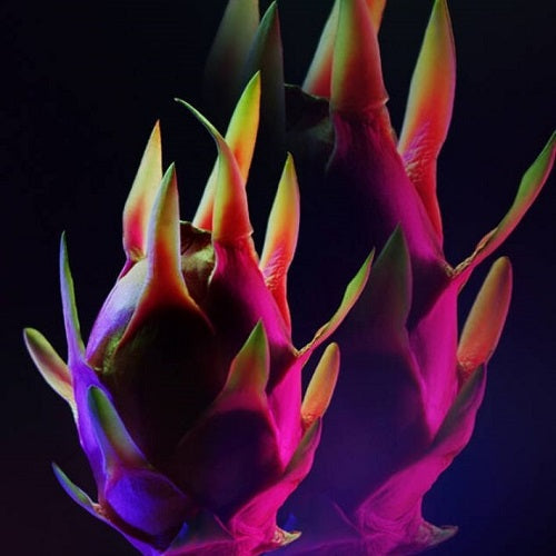 BLACK OPIUM NEON Eau de Parfum