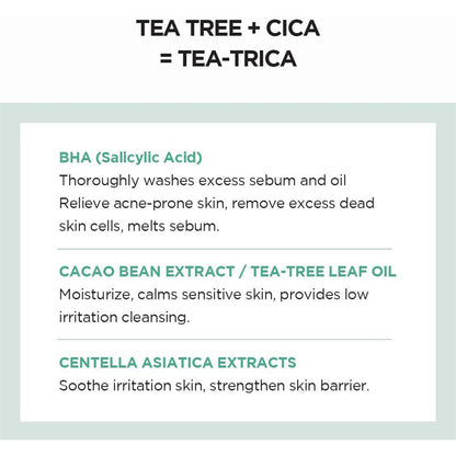 SKIN1004 Madagascar Centella Tea-Trica BHA Foam 4.22 fl.oz 125mL