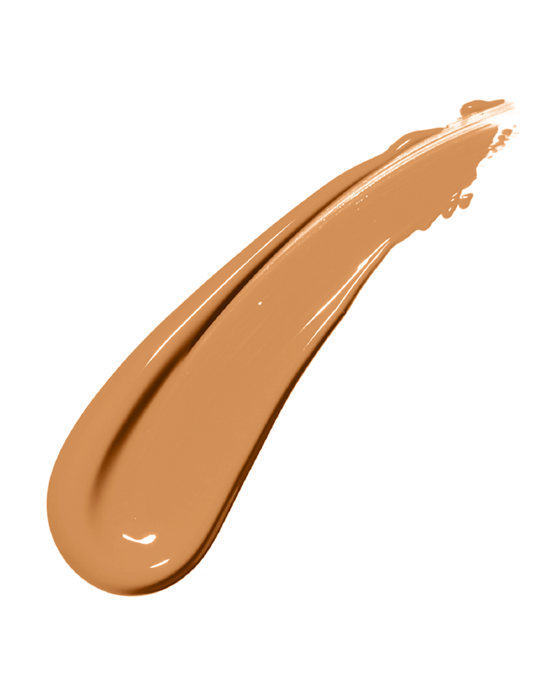 Pro Filt'r Soft Matte Longwear Foundation — #310