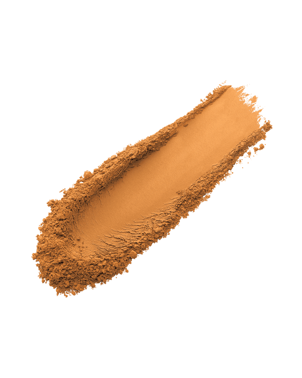Pro Filt'r Instant Retouch Setting Powder — Hazelnut