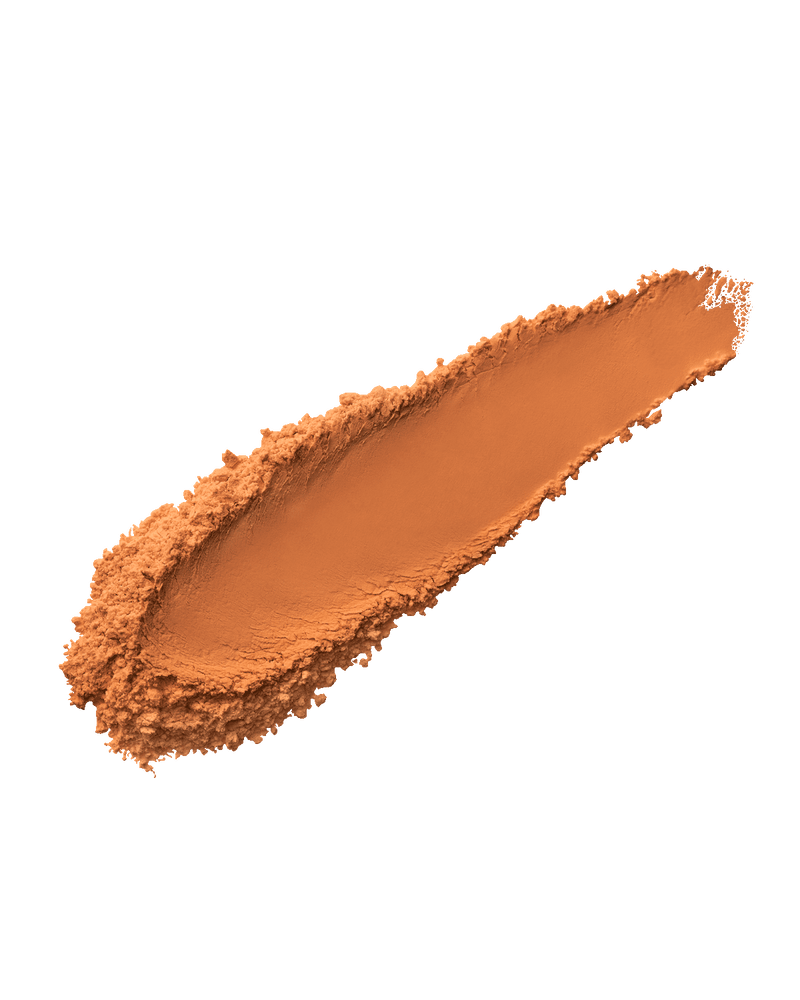 Pro Filt'r Instant Retouch Setting Powder — Nutmeg