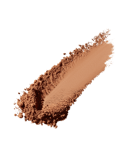 Sun Stalk'r Instant Warmth Bronzer — Shady Biz