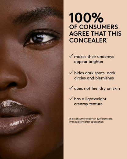 We're Even Hydrating Longwear Concealer — 290W