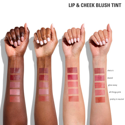 Lip & Cheek Blush Tint & Precision Pout Lip Liner Duo