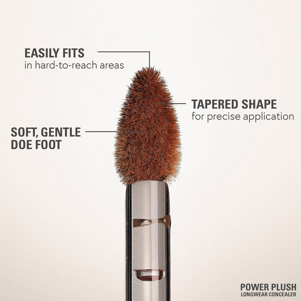 Power Plush Longwear Concealer