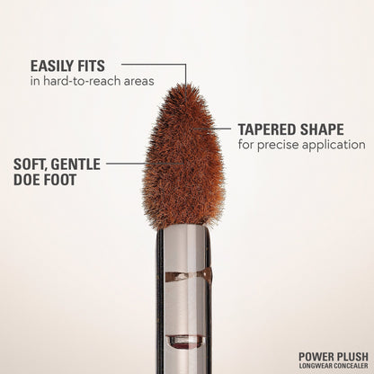 Power Plush Longwear Concealer