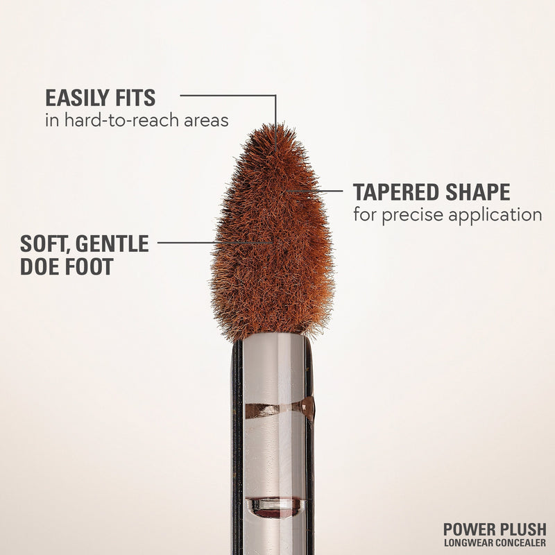 Power Plush Longwear Concealer