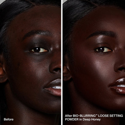 BIO-BLURRING LOOSE SETTING POWDER