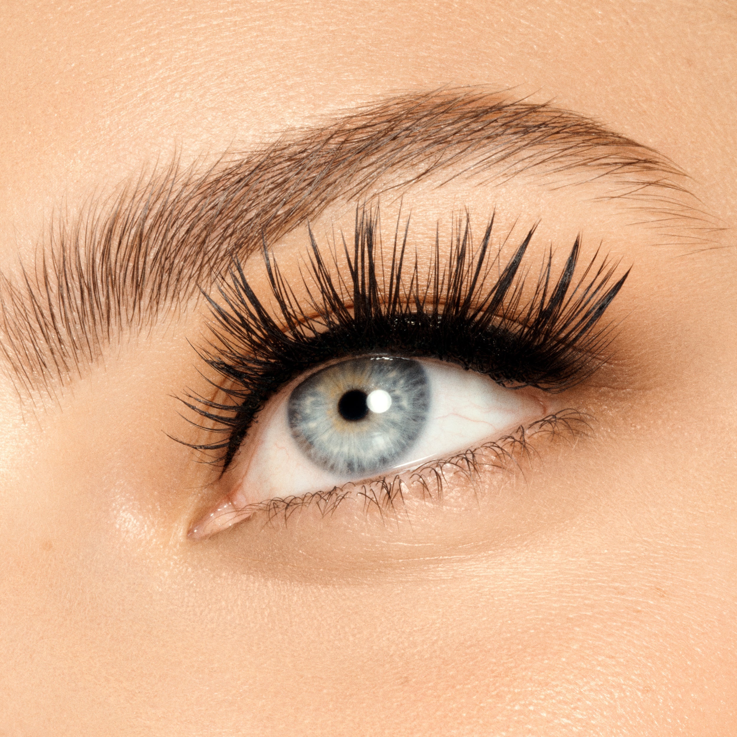 Full Lash