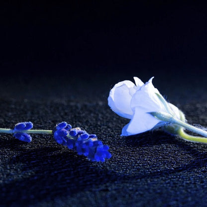 LA NUIT DE L'HOMME BLEU ÉLECTRIQUE Eau de Toilette